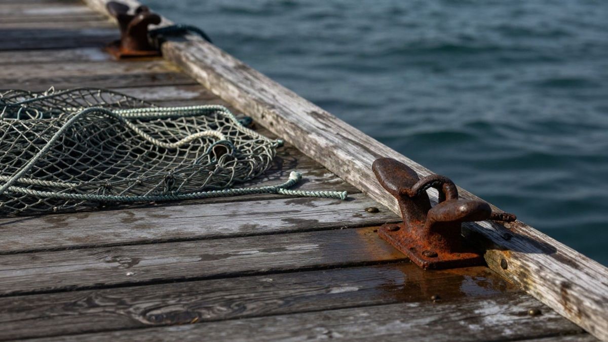 Illustrative image: detail of aged wooden planks at a fishing dock with a net rolled up at sunset